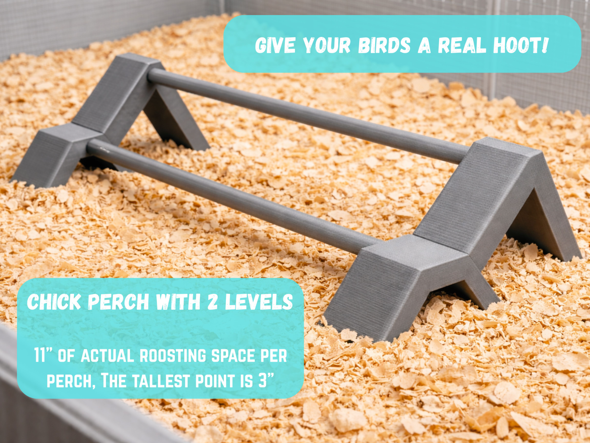 2 Level Chick Perch