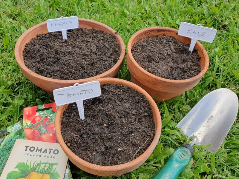 Plant Marker 