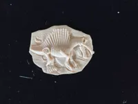 0.2mm 层高, 2 层墙, 10% 填充
