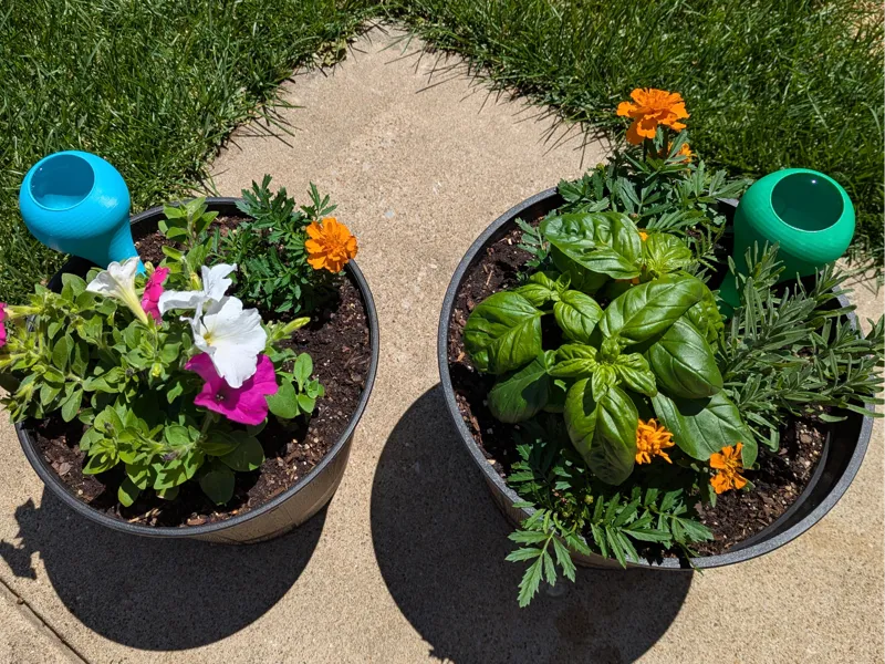 Self-Watering Indoor/Outdoor Plant Globe