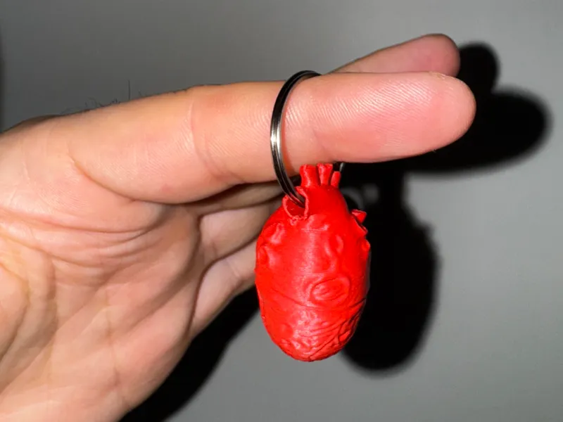 anatomical heart keychain