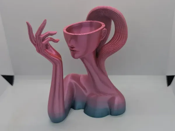 https://makerworld.bblmw.com/makerworld/model/USc4bd36b83c8db1/design/f23fab0670c15027.webp