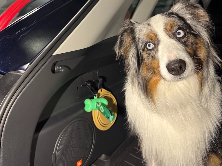 Rav4 Cargo Hooks OEM Mount