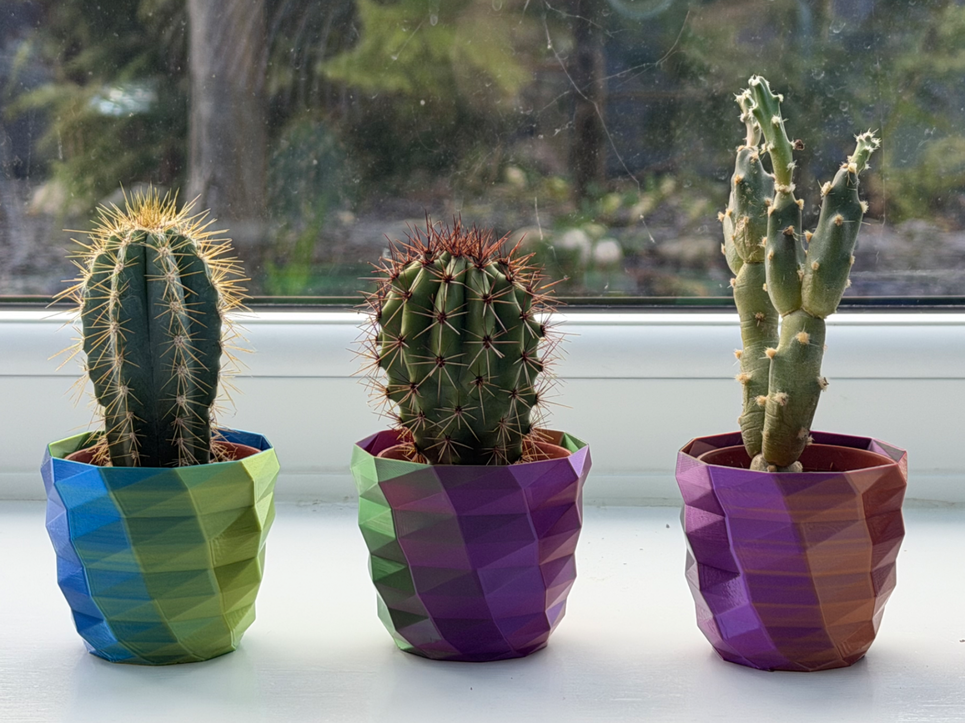 Small Succulent Plant Pot