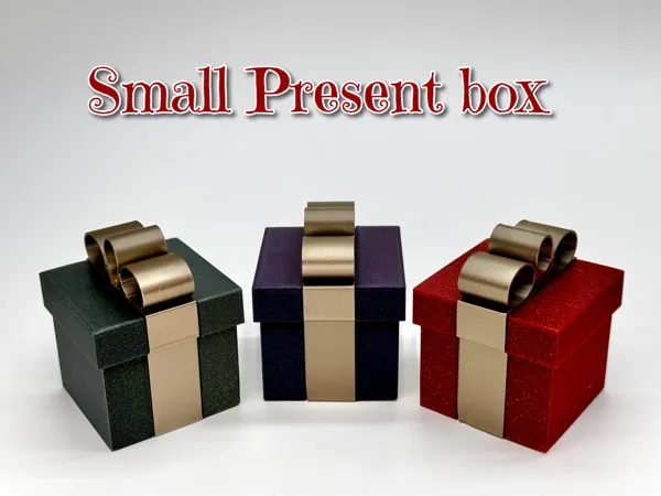 https://makerworld.bblmw.com/makerworld/model/USc4c966269e26e9/design/2024-11-19_679e159749abd.jpg