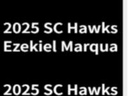 Hawks 2025