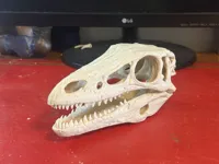 0.2mm layer, 2 walls, 5% infill A1 Mini