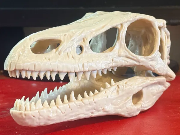 https://makerworld.bblmw.com/makerworld/model/USc4c9a0ddb2b354/design/2026-01-18_cbcbd7ce3df9d.jpg