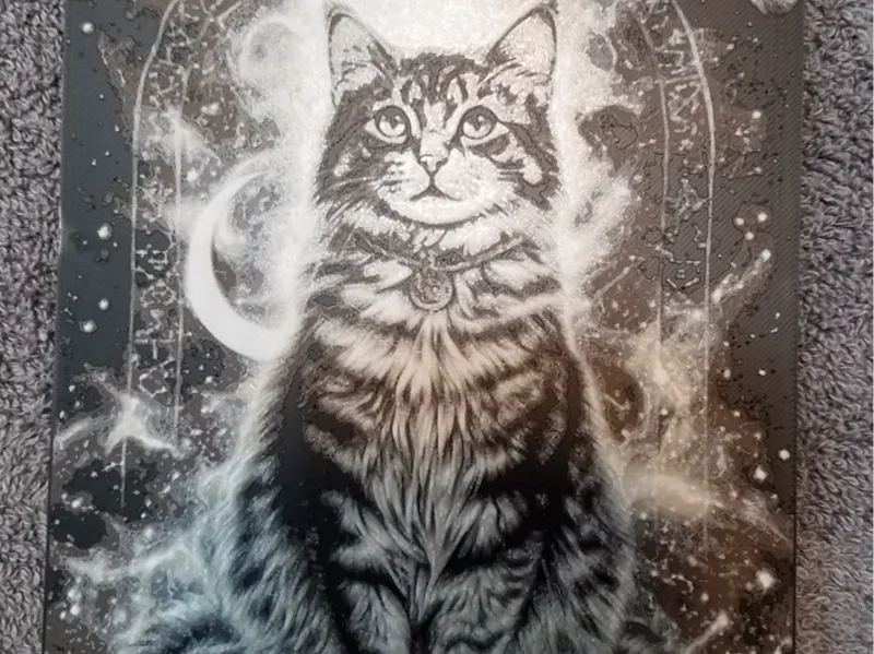 Dream Catcher Cat 1