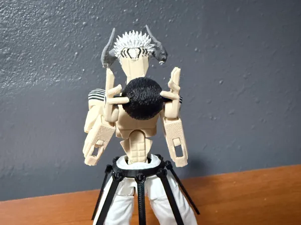 https://makerworld.bblmw.com/makerworld/model/USc4d026e6312bba/design/0d5c8ddc4822086f.jpeg