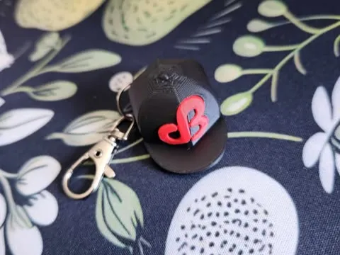 https://makerworld.bblmw.com/makerworld/model/USc4d08bdd379e51/design/2025-02-20_732f9e0c394338.jpg