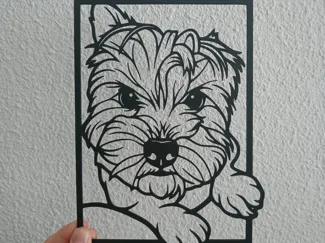 Yorkshire terrier