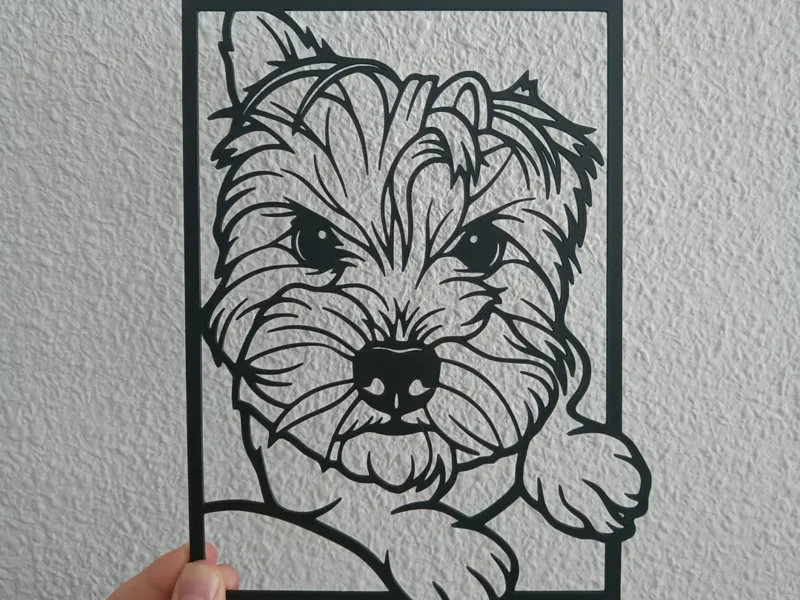 Yorkshire terrier