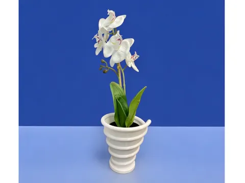 Vaza (vase)