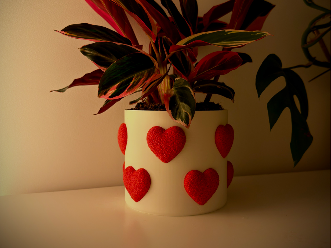 Heart Plant Pot