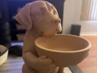 0.2mm layer, 2 walls, 10% infill