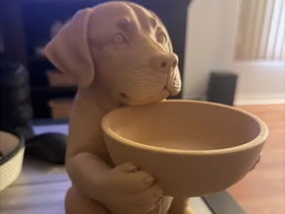 Labrador holding bowl