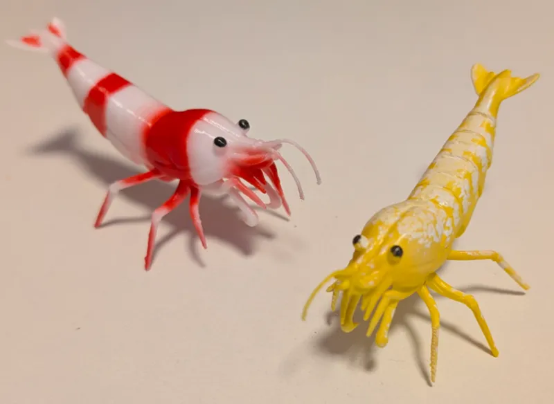 Caridina/Neocaridina Shrimp - KI generiert