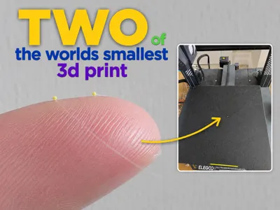 Two of the Worlds Smallest 3D Print