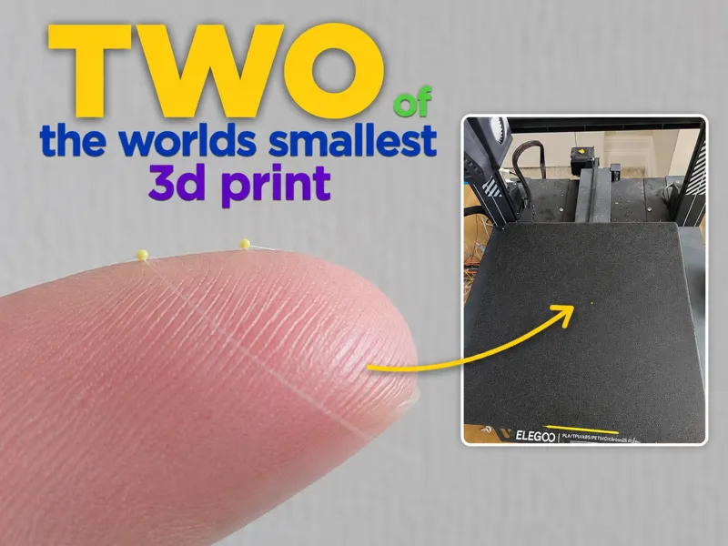 Two of the Worlds Smallest 3D Print