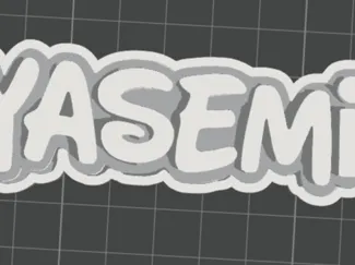 yasemin name tag