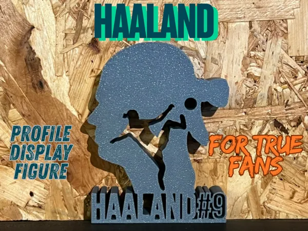 https://makerworld.bblmw.com/makerworld/model/USc4e7711802dec2/design/2025-10-20_cc4458f7941f18.jpg