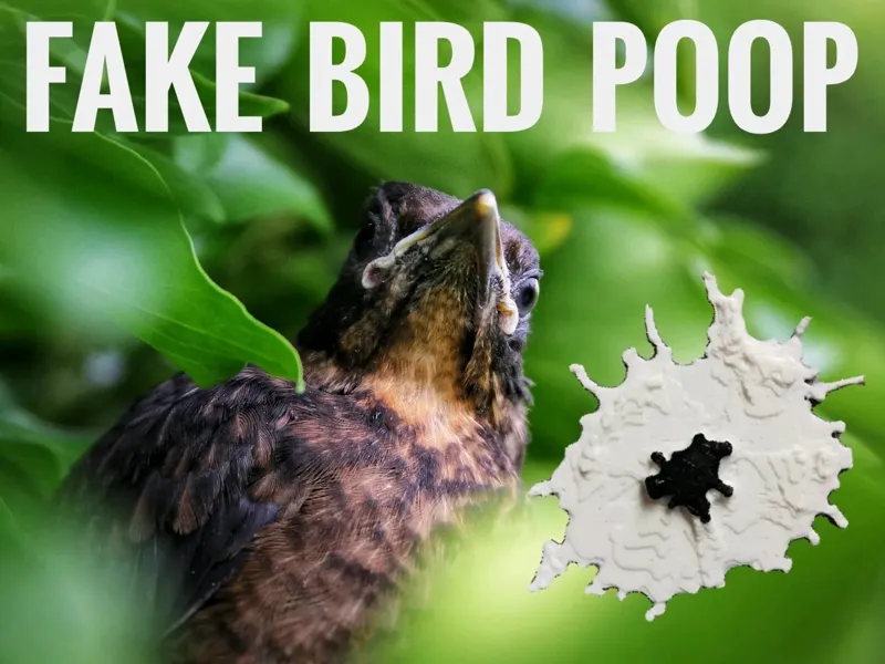 FAKE BIRD POOP