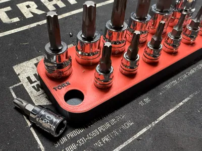 Torx Socket Tray