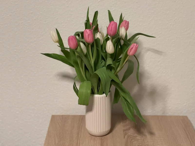 Vase Gitter