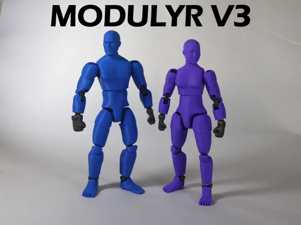 https://makerworld.bblmw.com/makerworld/model/USc4f1a43d5c1380/design/29b5720ba5d923ea.png