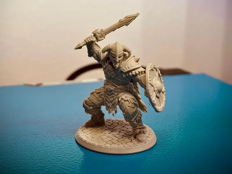 Guerriero del Nord