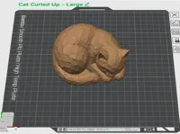 Curled Up Cat - Large