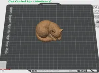Curled Up Cat - Medium