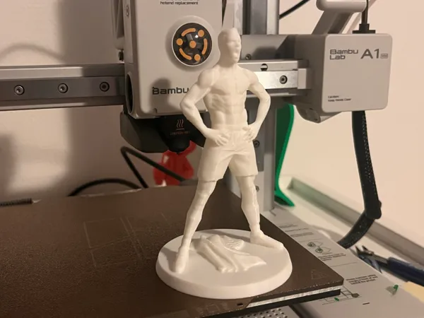 https://makerworld.bblmw.com/makerworld/model/USc4f8faeb47de03/design/80fad71926701d3c.jpg