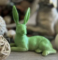Lapin couché — photo 1