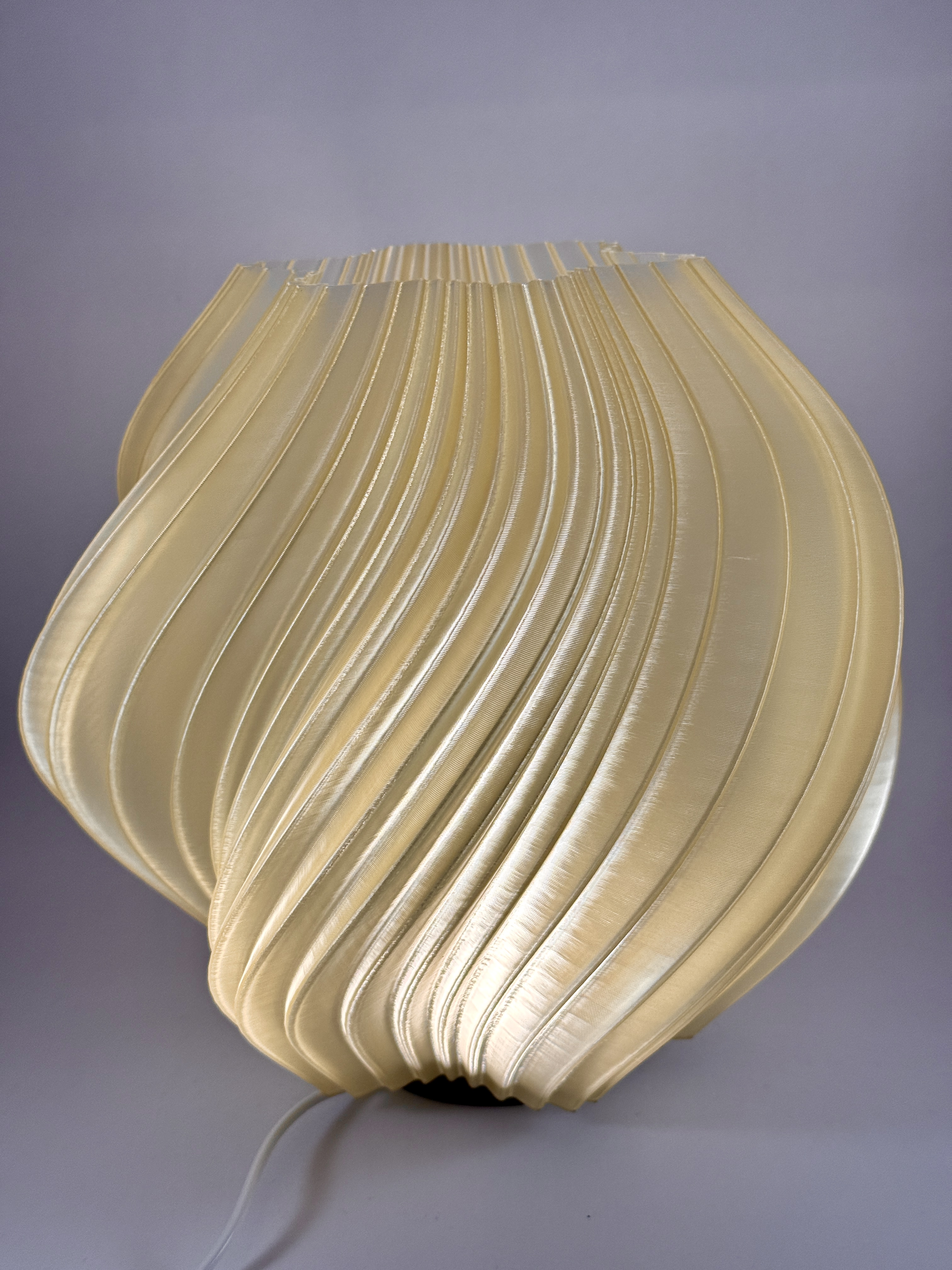 Miniatura 1 do modelo 3D Twisted Shell Lamp