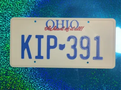 Tommy Boy - License Plate