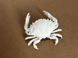 小螃蟹