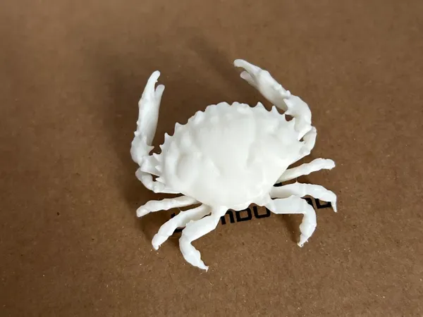 https://makerworld.bblmw.com/makerworld/model/USc4fe78fc990063/design/7b700a4f-b23f-450e-8e69-df3caf91c8b4.webp