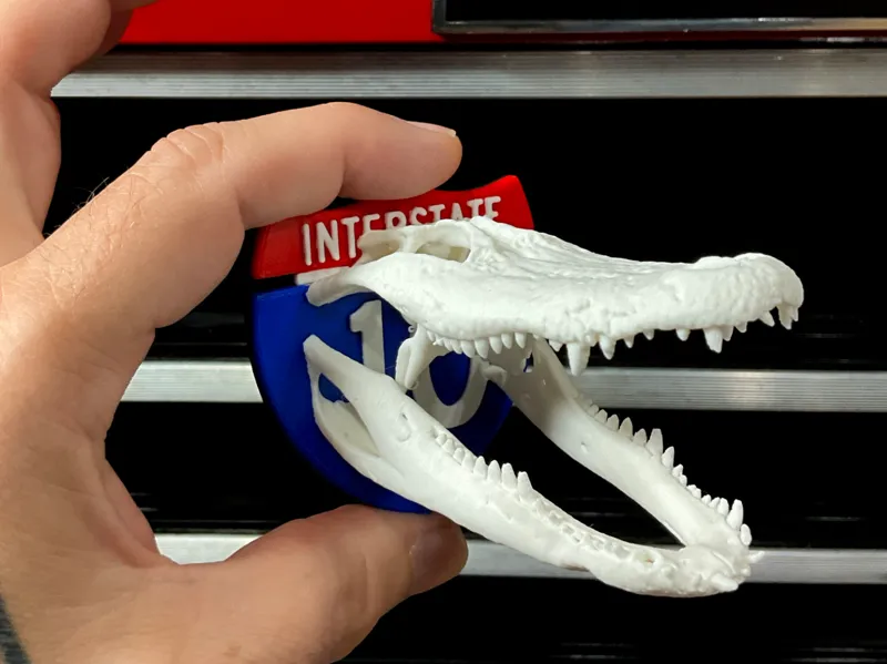 Interstate 10 Alligator Skull Magnet 