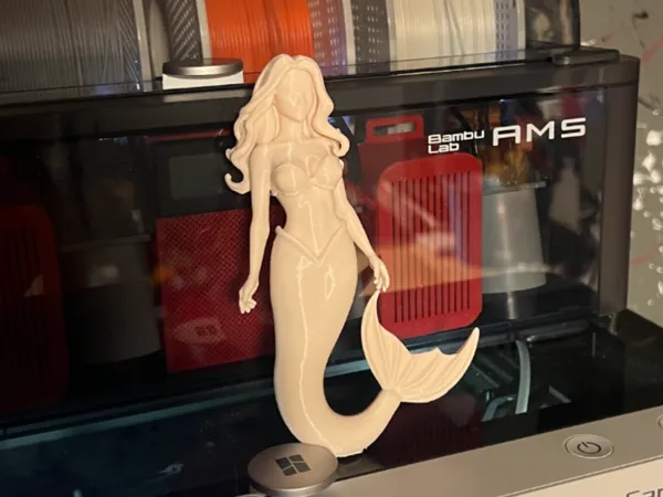 https://makerworld.bblmw.com/makerworld/model/USc50227cffd27c3/design/2025-02-09_d0ef09de4f5f5.jpg
