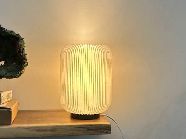 https://makerworld.bblmw.com/makerworld/model/USc50297bf34e67d/design/2026-01-14_45dfd1d15aea38.jpg