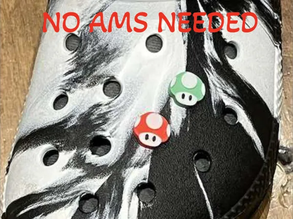 https://makerworld.bblmw.com/makerworld/model/USc506349fc69d02/design/2024-08-24_c60bc2bc46f64.png