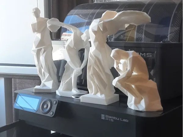 https://makerworld.bblmw.com/makerworld/model/USc509b37a219025/design/2024-08-29_38f28ea32d7a8.jpg