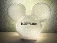 Mickey Light