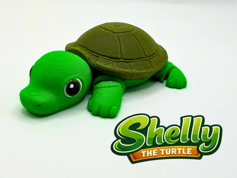 Shelly the Turtle - Cute Print-in-Place Flexi
