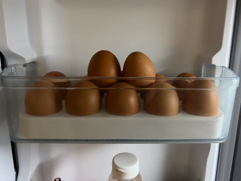Egg Tray Holder - Fits 10