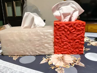 極簡幾何面紙盒-Minimalist tissue Box
