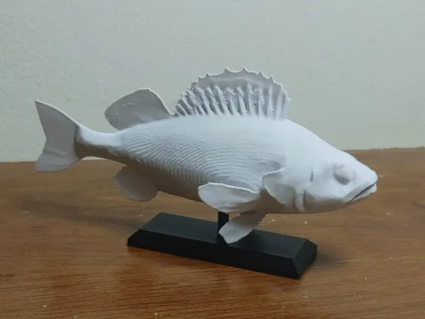 https://makerworld.bblmw.com/makerworld/model/USc51a3f63f755d4/design/2024-11-24_ad08e60a4e42b.jpg