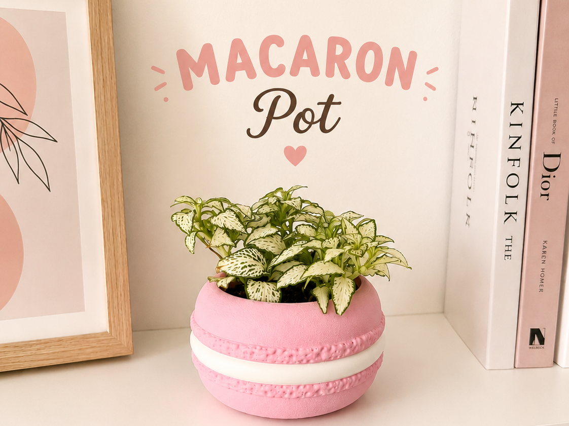 Miniatura 1 do modelo 3D MACARON POT – Cute Planter / Desk Organizer